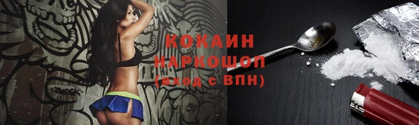 соль курить ск Каменка